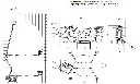 Hinowa specs.webp